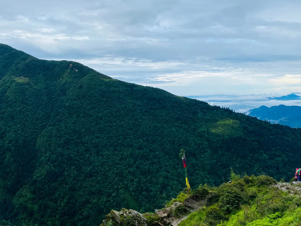 lush-forest-during-panchpokhari-trek-langtang