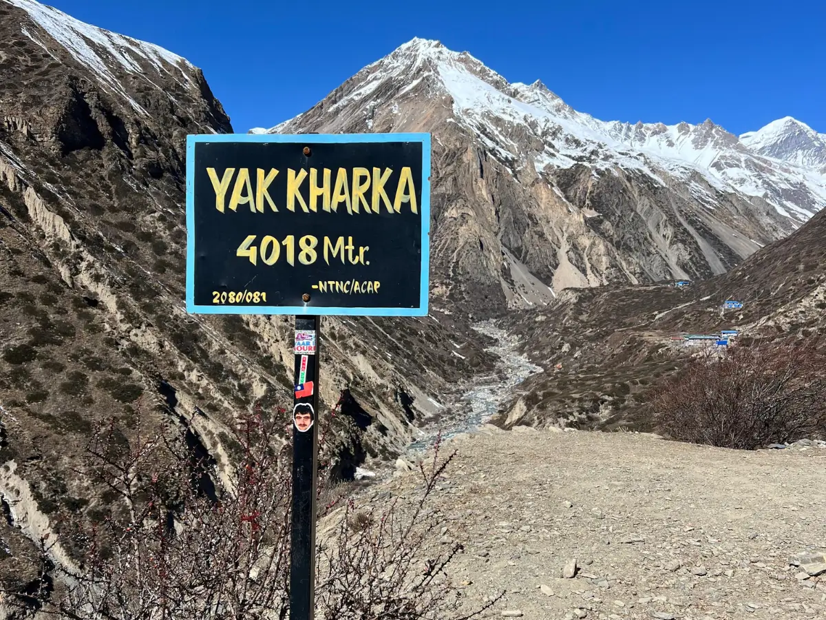 Yak Kharka During Annapurna Circuit Trek